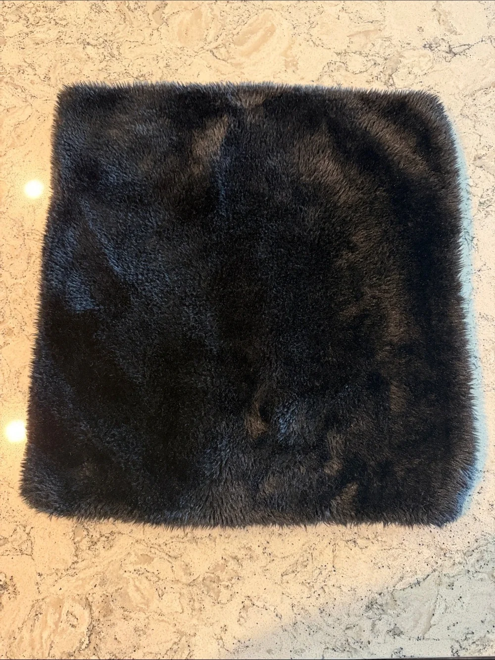 Pottery Barn Black Faux Fur Pillow Cover -
